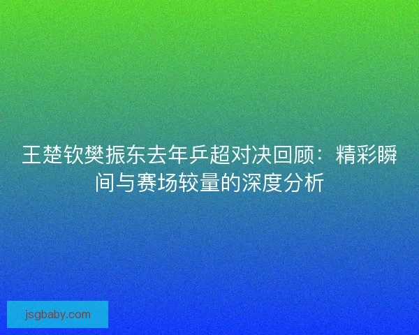 王楚钦樊振东去年乒超对决回顾：精彩瞬间与赛场较量的深度分析